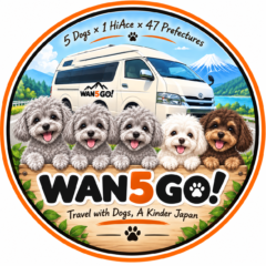 WAN5 GO!