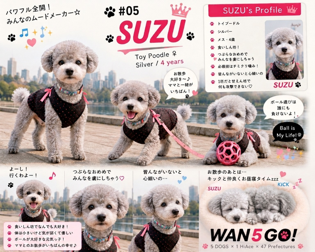WAN5 GO!SUZU(すず)のプロフィール