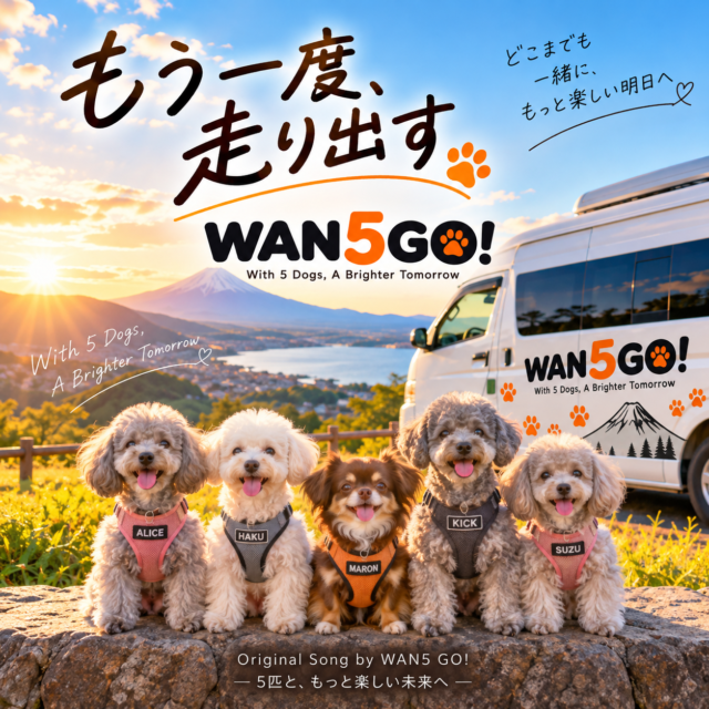 HP制作5日目｜WAN5 GO!の音楽が世界へ！？現地調査もスマホ化しました