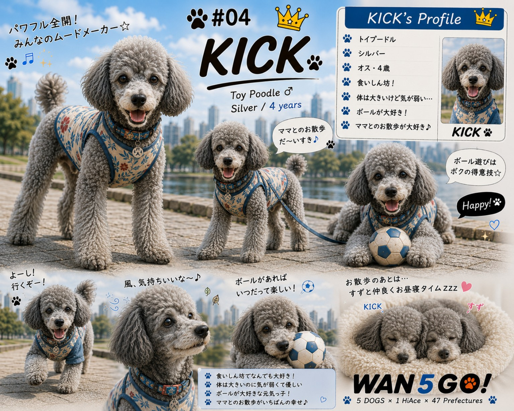 WAN5 GO!KICE(キック)のプロフィール